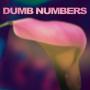 Image: Dumb Numbers - S/t