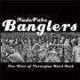 Image: Nude Pube Banglers - New Wave Of Norwegian Hard Rock